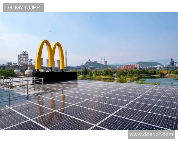提升体育馆餐饮服务质量以满足观众多样化需求的创新策略与实践探索